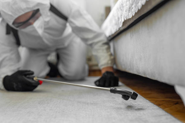 Professional Termite Control technician working in Merkel, TX
