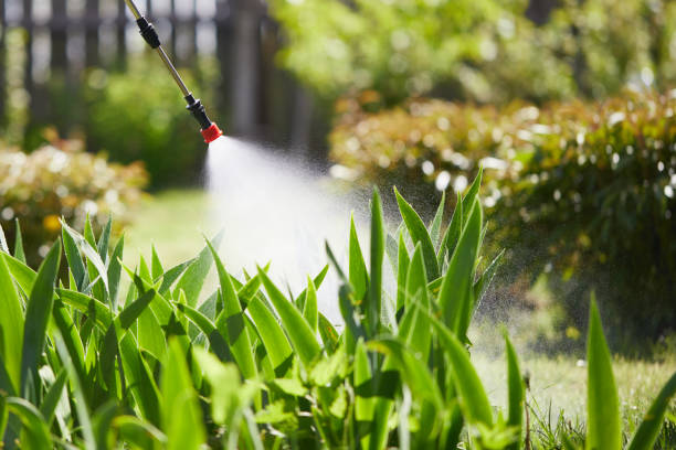 24/7 Emergency Termite Control experts in Merkel, TX