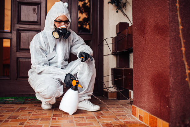 Reliable Termite Control contractor in Merkel, TX by Nex Pest Control